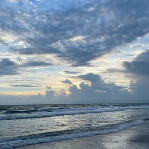 Meet your Posher, Anika